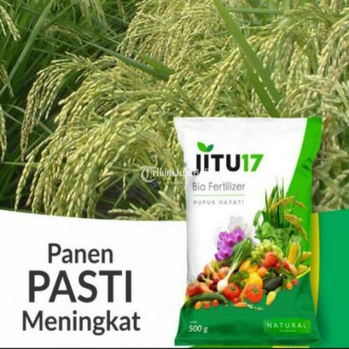 Pupuk Hayati Jitu 17 Biofertilizer Untuk Hasil Panen Meningkat Di ...