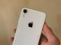 HP iPhone XR 128GB Putih Seken No Minus Siap Pakai - Tangerang