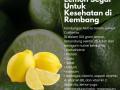 Lemon Segar Untuk Kesehatan di Kabupaten Rembang  - Purwokerto