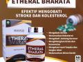Etheral Bharata Obat stroke