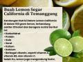 Buah Lemon Segar California di Kabupaten Temanggung Call/WA 0819-9977-9044