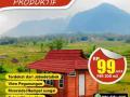 Dijual Tanah Murah Sawah Produktif Untuk Liburan Wisata Keluarga Dan Investasi - Bogor