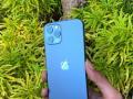 HP iPhone 12 Pro 256GB Pasific Blue Seken Truetone On Normal - Semarang