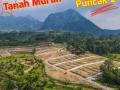 Dijual Investasi Tanah Murah Kavling Bisa Bangun Rumah/Villa/Kebun - Bogor