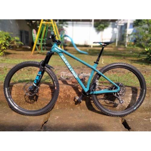 santa cruz chameleon harga