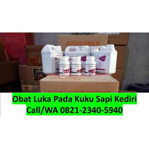 Obat Luka Sapi Kena PMK Kandangan di Kediri - TribunJualBeli.com