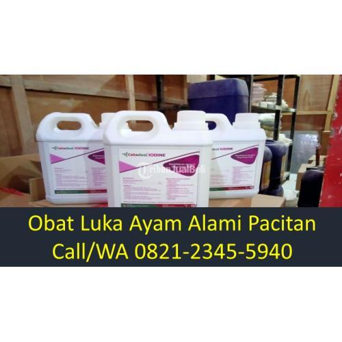 Obat Sapi Luka Berbelatung Bandar di Pacitan - TribunJualBeli.com