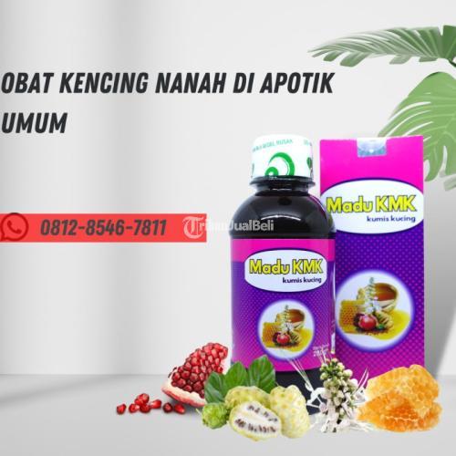 Obat Kencing Bernanah Di Apotik Madu Kmk Di Bekasi