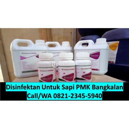 Catedest Iodine Obat Sapi Luka Kaki Pengiriman Seluruh Indonesia di