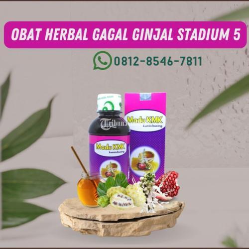 Obat Herbal Batu Ginjal Tanpa Operasi Madu KMK Di Bekasi Kota ...