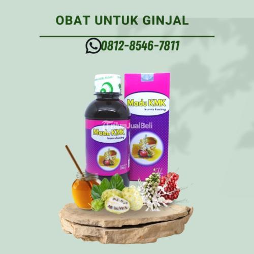 Obat Tradisional Batu Ginjal Tanpa Operasi Madu KMK Di Bekasi ...