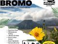Private Trip Bromo - Info Wisata Bromo - Harga Terjangkau