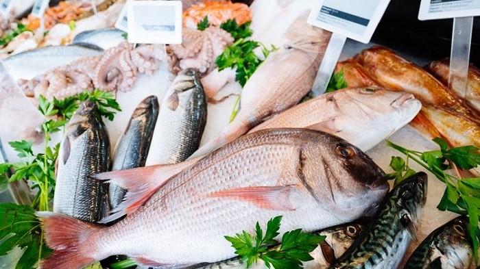 Tips Tahapan Memulai Bisnis Jual Ikan