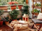 5 Jenis Tanaman yang Cocok Membuat Balkon Rumah Jadi Taman yang Indah