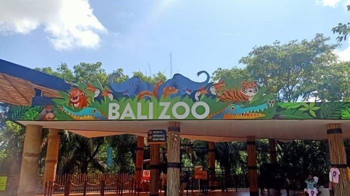 Cek Jam Buka dan Harga Tiket Masuk Bali Zoo 